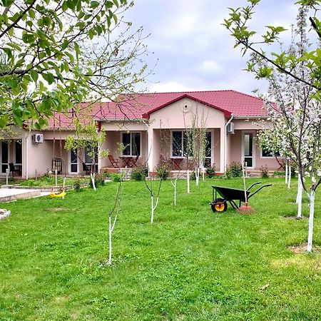 Cozy Family Cottages Vendam Εξωτερικό φωτογραφία